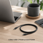 Câble USB-C vers USB-C 1 m